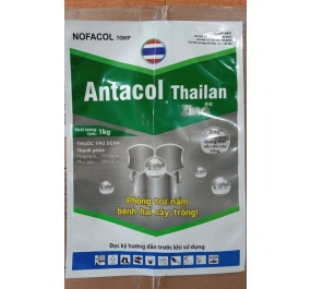 NOFACOL 70WP (ANTACOL THÁI LAN)